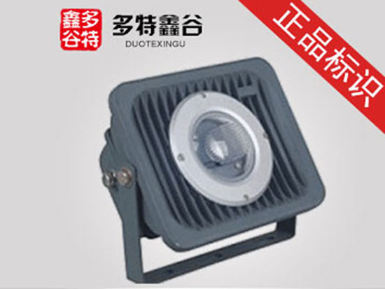 沙灰投光灯30W